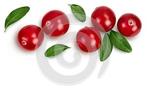 Cranberry with leaves isolated on white background with clipping path and full depth of field. Top view with copy space