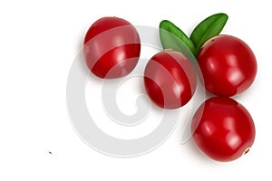 Cranberry with leaves isolated on white background with clipping path and full depth of field. Top view with copy space