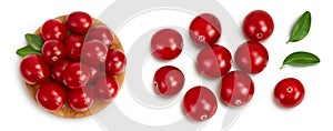 Cranberry with leaves isolated on white background with clipping path and full depth of field. Top view. Flat lay