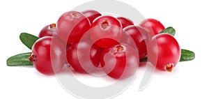 Cranberry with leaves isolated on white. With clipping path. Full depth of field.