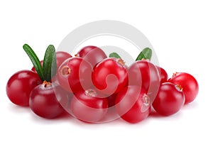 Cranberry with leaves isolated on white. With clipping path. Full depth of field.