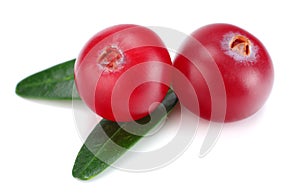 Cranberry with leaves isolated on white. With clipping path. Full depth of field.