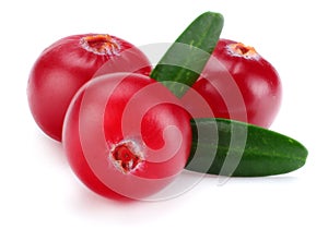 Cranberry with leaves isolated on white. With clipping path. Full depth of field.