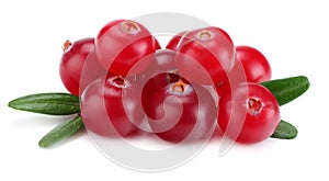 Cranberry with leaves isolated on white. With clipping path. Full depth of field