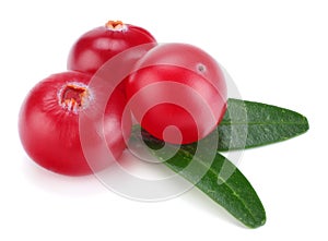 Cranberry with leaves isolated on white. With clipping path. Full depth of field.