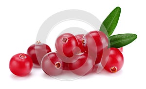 Cranberry with leaves isolated on white. With clipping path. Full depth of field.