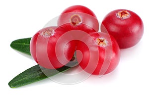 Cranberry with leaves isolated on white. With clipping path. Full depth of field.