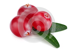 Cranberry with leaves isolated on white. With clipping path. Full depth of field.