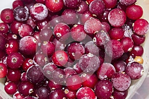 Cranberry with leaves Red background