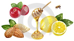 Cranberry lemon honey almond watercolor illustration isolated on white background