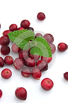 Cranberry with a mint