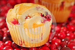 Cranberry muffin