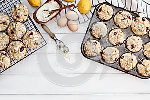 Cranberry Muffins with Lemon Zest