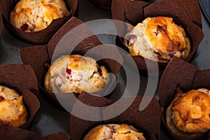 Cranberry orange muffins in brown tulip muffin liners