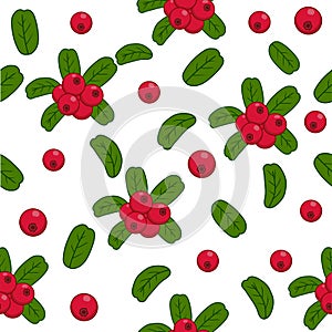 Cranberry pattern semless background