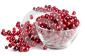 Cranberry