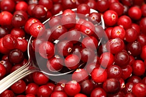 Cranberry on spoon