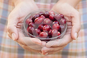 Cranberry in woman's palms