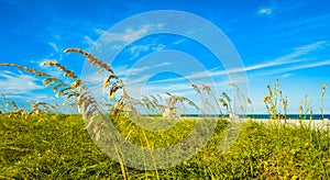 Crandon Park Beach photo