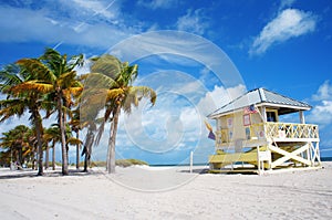 Crandon park Beach of Key Biscayne, Miami