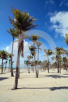 Crandon Park Beach Miami