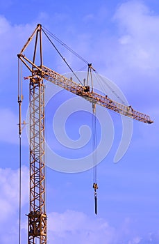Crane