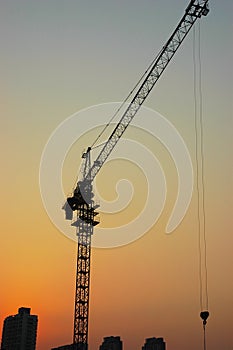 Crane photo