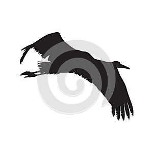 Crane Bird Gruidae Silhouette Vector Found In South America