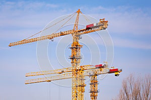 Crane in Construction