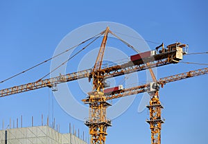 Crane in Construction