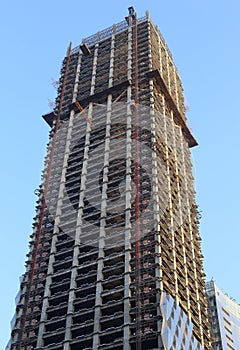 Crane in Construction