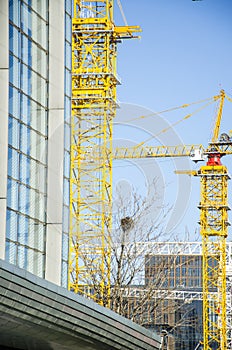 Crane at construction site