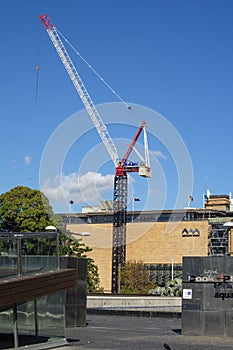 Crane in front of the Australian Museum
