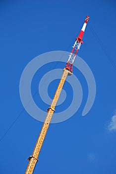 Crane With Giraffe Pattern