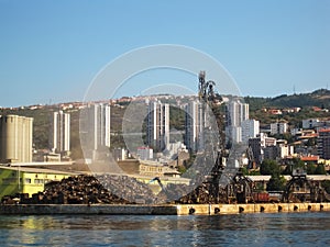 Crane in harbor