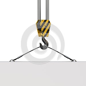 Crane hook