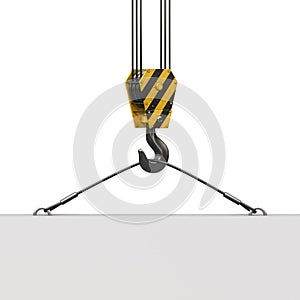 Crane hook