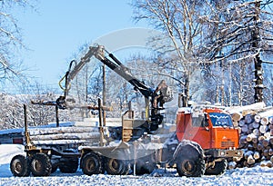 Crane loading cut forest in winter time