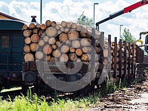 Crane loading cut logs on a railcar