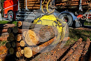 Crane loading logs in the truck