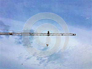 Crane, man and the sky