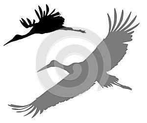 Crane vector silhouettes. Vector birds