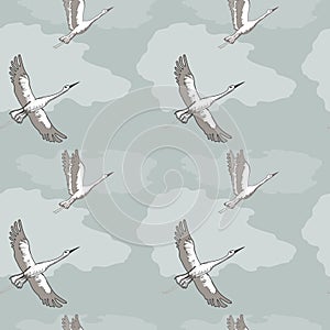 Crane in the sky,gray color of background photo