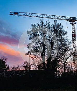 Crane and tree silhouette with sunset