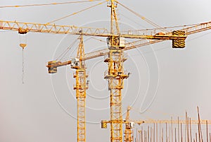 Cranes