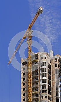 Cranes and building