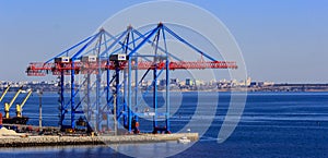 Cranes in the cargo port