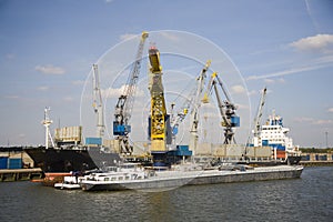 Cranes and carriers 11