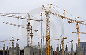 Cranes on construction yard