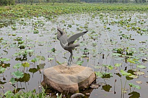 Cranes Copper carving-Nanchang like Lake Wetland Park